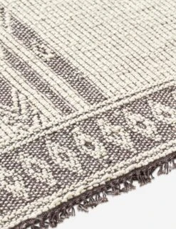 Delgado Handwoven Wool Rug -Home Decor Sale irf2301 texture